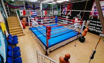 Miranda Boxing Club