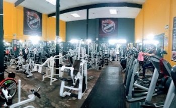 NO EXCUSES FITNESS GYM