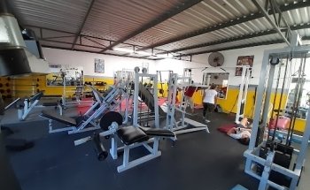 Gorilla Gym