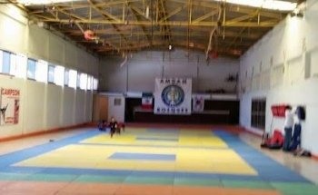 Taekwondo AMDAM BOSQUES