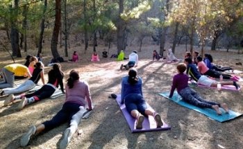 Studio.Midrash.Yoga.Dance