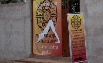 Padme Yoga La Flor de Loto