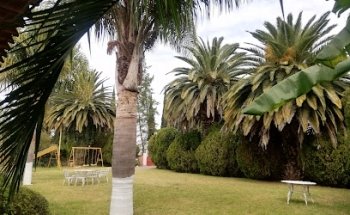 Kia Yoga Centro de Bienestar.