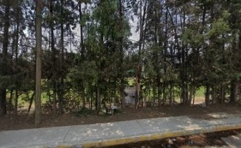 Campo America San Mateo