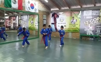 MDK Puente Blanco (Taekwondo y Más)
