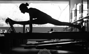 PLT Studio | Pilates & Wellness