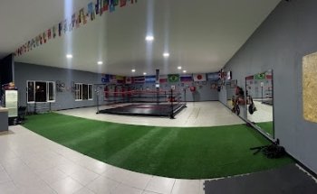 Uppercut Boxing Club / Functional Training