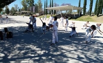 CAPOEIRA NGOLA AGUASCALIENTES