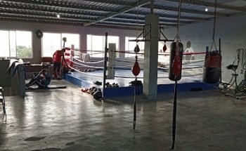 GIMNASIO DE BOX LOS PANCHOS GQ