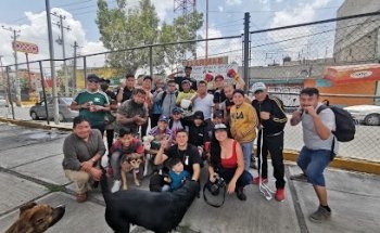 Escuela de Box Palitos Pérez