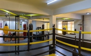 Mi Niño Boxing Team