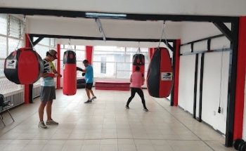 Box y Kick Boxing Raza Guerrera