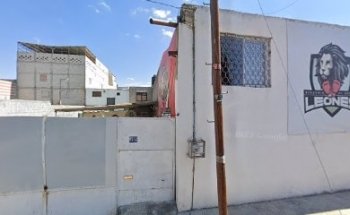 Academia de box Leones