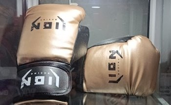 Lion Boxing wtc