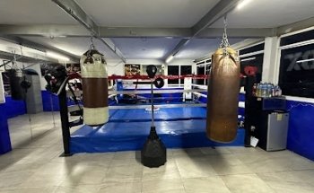 Vicman's GYM - BOX
