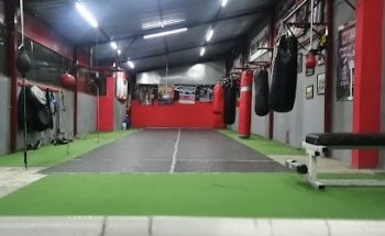 Escuela de boxeo zurdo