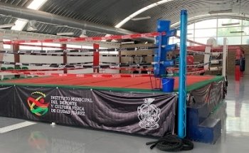 Gimnasio municipal Manuel Auza Prieto