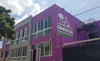 Gym VJL - Flores Magón