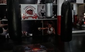Carroñeros boxing