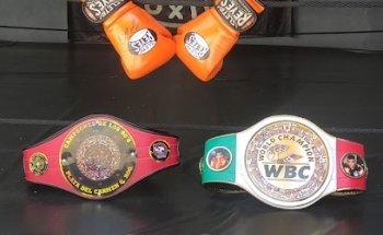 Pool Boxing Playa del Carmen