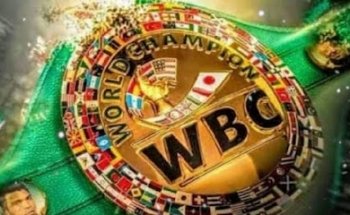 Titanes Palmarito Boxing's Club