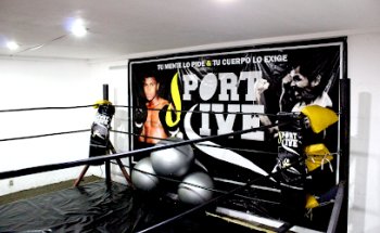 SPORT LIVE BOXING