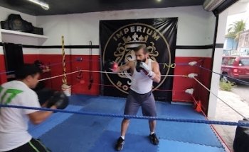 Imperium boxing