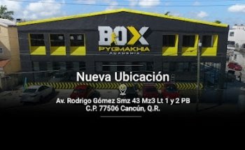 Academia de Box Pygmakhia