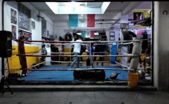 School Olympic Boxing