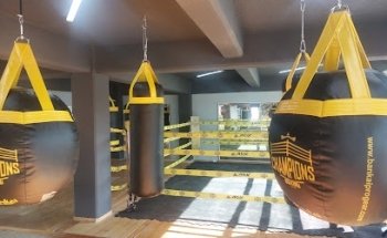 Segura Boxing Club