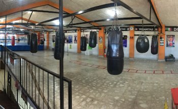 Escuela de Box Dinamitas