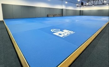 Valente Brothers Jiu-Jitsu Mexico Study Group