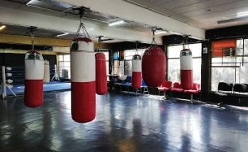 Gimnasio Pancho Rosales Oficial