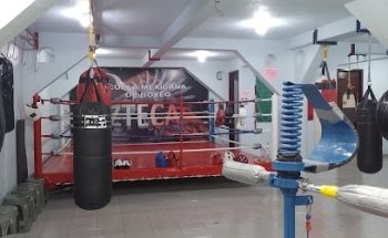 Escuela Mexicana de Boxeo 