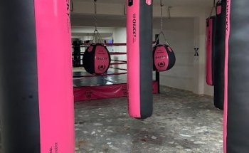 Escuela de Box 
