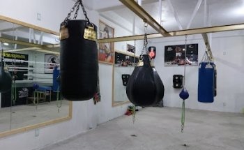 Club de boxeo Bala Boxing