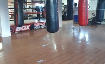 BOX ACADEMY