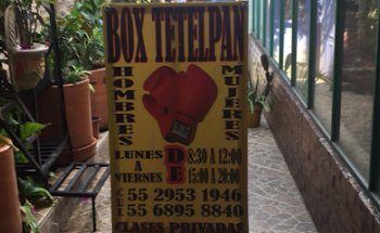 Box el Campeón
