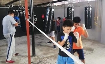 Titis boxing