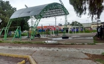 Ring De Box Cofradia IV