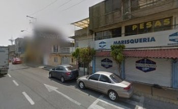 Escuela de box master