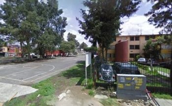 Champions Warriors cano