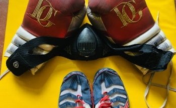 Gavilan boxing club