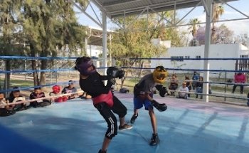 BOXSALAMANCA TEAM ESCUELA DE BOX