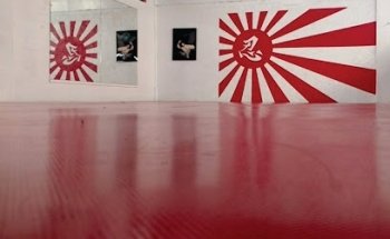 Academia Internacional De Artes Marciales