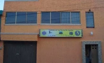 Instituto de Tae Kwon Do Aguilas