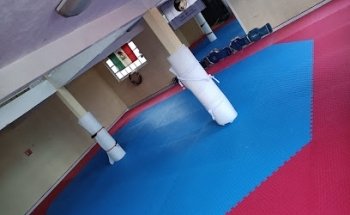 Taekwondo Guerreros Hwarang Delta