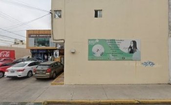 Professional Sport Training