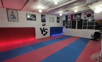 Tae Kwon Do LOBOS BALBUENA