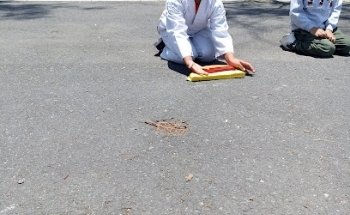 Taekwondo UNAM Aragón